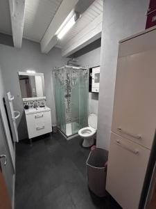ein Badezimmer mit Toilette und Glasdusche in der Unterkunft Maison cosy, garage, jardin, terrasse vue montagne in Font Romeu Odeillo Via