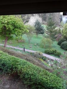 Zahrada ubytování Kleines Haus am Wald