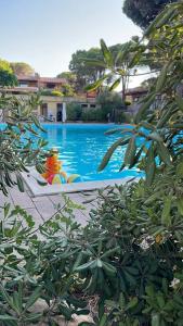 a blue swimming pool with a toy in the water at Casa a Calaverde pochi passi dal mare terrazza aria condizionata WiFi e parcheggio in Forte Village