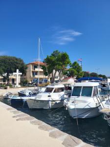 Φυσικό τοπίο κοντά σε αυτή η παραθεριστική κατοικία +17 φωτογραφίες