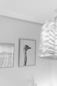 Fotografie z fotogalerie ubytování Pensión O Camiño v destinaci Sarria