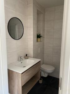 a bathroom with a sink and a toilet and a mirror at De Haas - Tiny house in de Zeeuwse Natuur in Driewegen