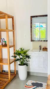 ein Badezimmer mit einer Pflanze in einem Topf neben einem Waschbecken in der Unterkunft HD Homestay in Buon Ma Thuot