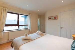 丁格尔Steps from Main Street - Dingle的相册照片 更多22张照片