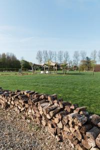 Fotografie z fotogalerie ubytování De Haas - Tiny house in de Zeeuwse Natuur v destinaci Driewegen