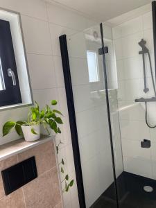 a shower with a glass door in a bathroom at De Eend - Tiny house in de Zeeuwse Natuur in Driewegen