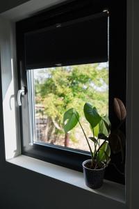 DriewegenにあるDe Eend - Tiny house in de Zeeuwse Natuurのギャラリーの写真