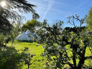 a white tent in a field with a tree at Luxury Glamping The Wye Valley for 2 to 4 Guests in Ross on Wye