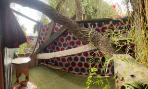 un albero cresce su una panchina in un giardino di Adam's Tree House ad Aourir