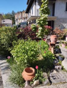 einen Garten mit Blumen und Pflanzen vor einem Haus in der Unterkunft La gazza allegra in Querciola