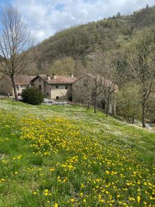 Loodusmaastik of the bed and breakfast lähedal