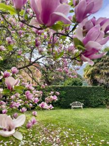 Gallery image of La Limonaia - Tremezzo by LoveComo in Tremezzo