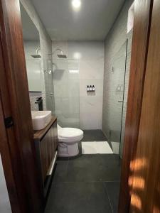 a bathroom with a toilet and a sink and a shower at Departamento en Chapala in Ixtlahuacán de los Membrillos +1 photo