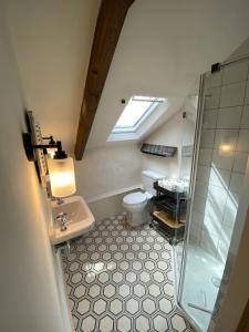 a bathroom with a shower and a toilet and a sink at The Stable in Usk +13 photos