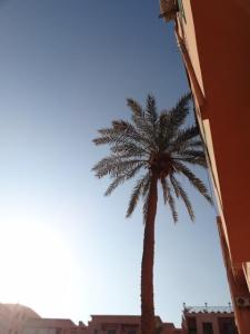 马拉喀什Apartment Twins 12的站在建筑前的棕榈树