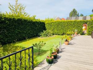 a wooden walkway with potted plants in a garden at Ferienhaus am Mümmelbrook in Feldberg