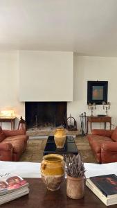 a living room with a couch and a fireplace at Mas exceptionnel à Lagnes, Provence in Lagnes