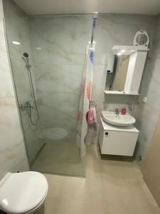 Ένα μπάνιο στο Apartman Milakovic +20 φωτογραφίες