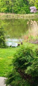 a white bench sitting in the grass near a lake at Family Villa Lake View in Moara Vlăsiei