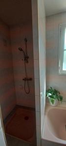 un bagno con box doccia e pianta di Les lavandières a La Pommeraie-sur-Sèvre