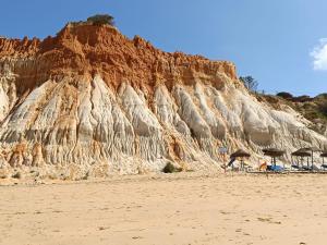 uma praia com uma parede de pedra e um pássaro em pé na areia em Casa do Algarve em Albufeira