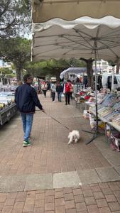 Fotografie z fotogalerie ubytování Studio port carnon v destinaci Carnon-Plage