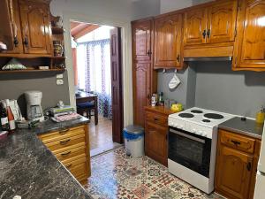 Kuchyň nebo kuchyňský kout v ubytování Aegean Blu Port House Pythagoreio