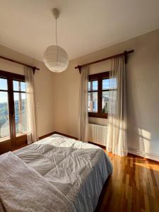 a bedroom with a bed and two windows at Patrikon in Zagora
