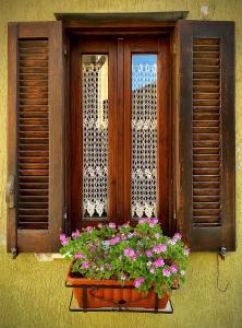 a window with a pot of flowers in front of a window at La casa di Anna in Sapri