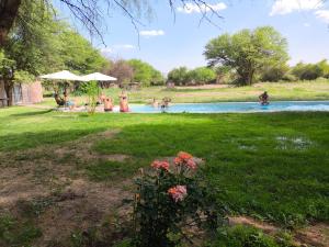 a group of people standing around a swimming pool at Complejo Volcanes de la Puna in Tinogasta