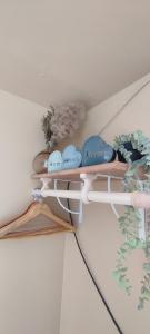 ル・アーヴルにあるNid de verdure à 15 minutes centre et plageの天井に植物が置かれた棚