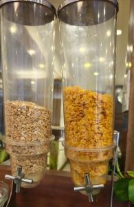 Cibo presso l'affittacamere o nelle vicinanze