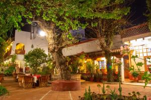 patio z drzewem, stołami i krzesłami w obiekcie Hotel y Restaurant Embajadoras w mieście Guanajuato