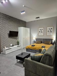 a bedroom with a bed and a couch and a tv at APARTAMENTY PRUCHNICKA in Jarosław