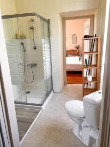 a bathroom with a shower and a toilet at Jolly Château - Family and Friends suite in Le Bernard +9 photos