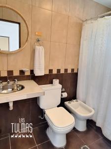 a bathroom with a toilet and a sink and a mirror at Las Tulmas Apartamentos Salta in Salta