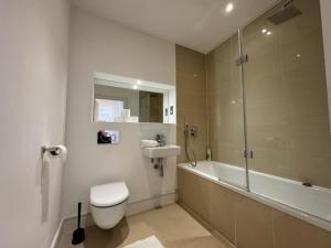 a bathroom with a toilet and a sink and a shower at Penthouse on the Grange in London +5 photos