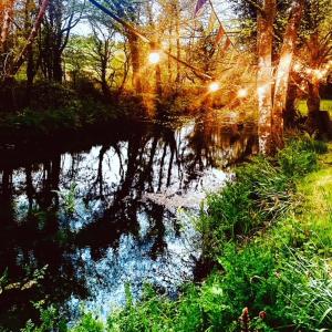 a reflection of the sun in a body of water at Dowr-Gwel Shepherds Hut in Saint Cleer