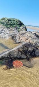 아파트 주변 자연 경관
