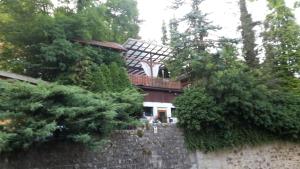 Κήπος έξω από το Löwen Haus am Edersee