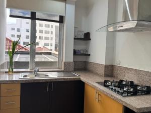 Kuchyň nebo kuchyňský kout v ubytování Gaviota Apartments & Suites