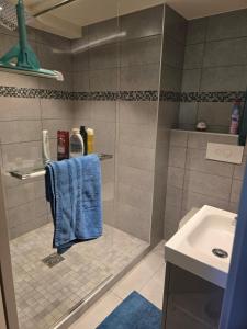 a bathroom with a shower with a blue towel and a sink at Studio in a townhouse in Annecy