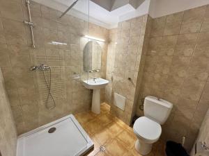 a bathroom with a toilet and a shower and a sink at Chalet Minut in Vatra Dornei +22 photos