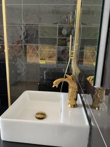 a bathroom sink with a gold faucet and a mirror at Cap sur le Paradis in Cap d'Agde +13 photos