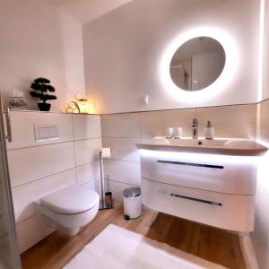 a bathroom with a toilet and a sink and a mirror at Bergliebe 5 mit großer Terrasse, Tiefgarage & Lift in Bad Harzburg +42 photos