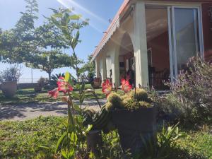 利贾Sun N Sand的前院鲜花的房子