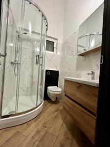 a bathroom with a shower and a toilet at Apartmani Kim in Starigrad