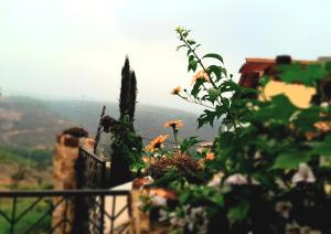 a view of a garden with flowers on a wall at Cabaña Umpalita para 4 cuatro personas in Los Santos +3 photos