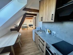 Kuchyň nebo kuchyňský kout v ubytování Apartmány Statek Bezdědice