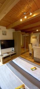 TV a/nebo společenská místnost v ubytování Ferienwohnung Schelzke